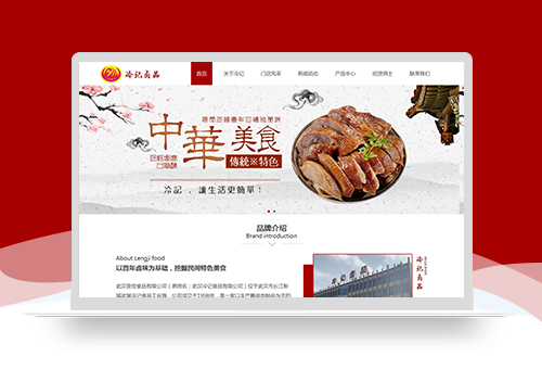 武漢網站建設案例